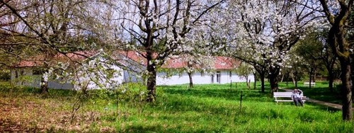 Dahmma Pajjota